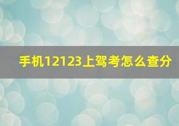 手机12123上驾考怎么查分