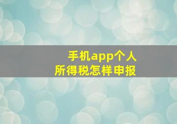 手机app个人所得税怎样申报