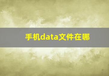 手机data文件在哪