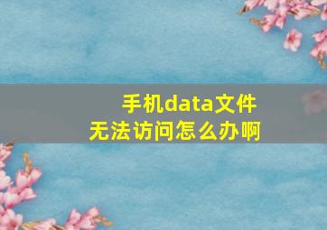 手机data文件无法访问怎么办啊