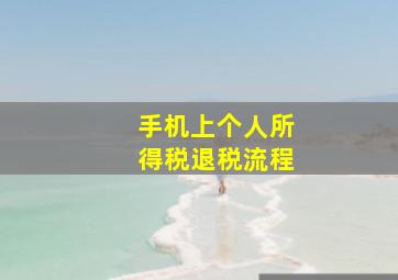 手机上个人所得税退税流程