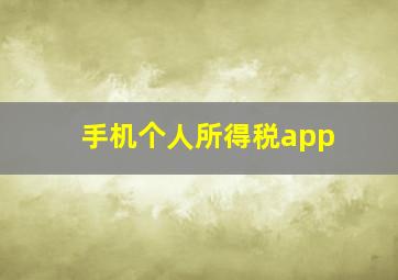 手机个人所得税app