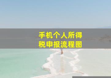 手机个人所得税申报流程图