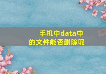 手机中data中的文件能否删除呢