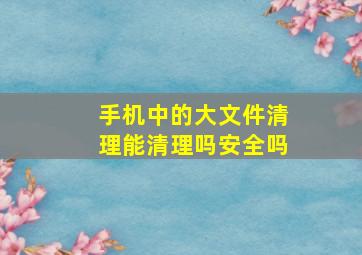 手机中的大文件清理能清理吗安全吗