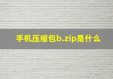 手机压缩包b.zip是什么