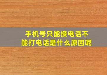 手机号只能接电话不能打电话是什么原因呢