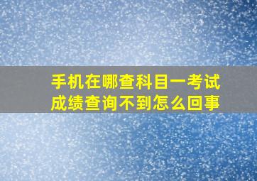 手机在哪查科目一考试成绩查询不到怎么回事