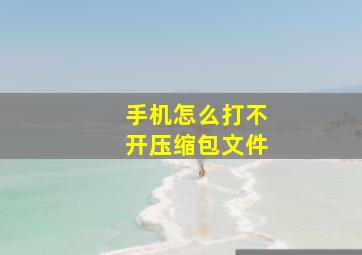 手机怎么打不开压缩包文件