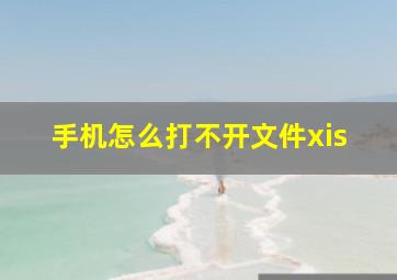 手机怎么打不开文件xis