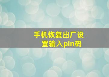 手机恢复出厂设置输入pin码