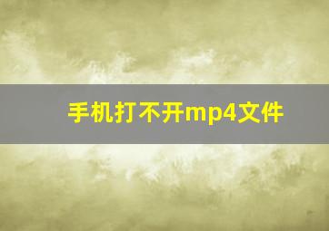 手机打不开mp4文件