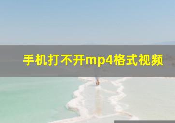 手机打不开mp4格式视频