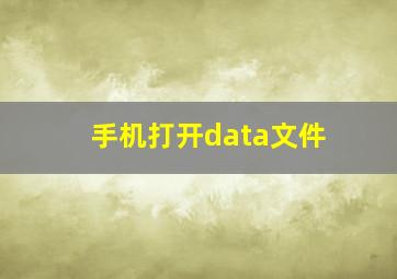 手机打开data文件