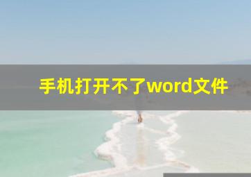 手机打开不了word文件