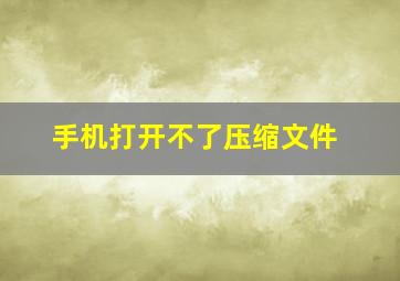 手机打开不了压缩文件