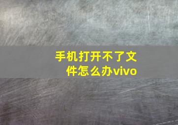 手机打开不了文件怎么办vivo