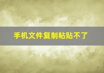 手机文件复制粘贴不了