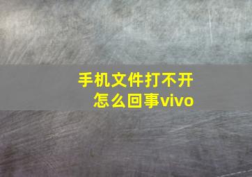 手机文件打不开怎么回事vivo