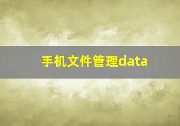 手机文件管理data