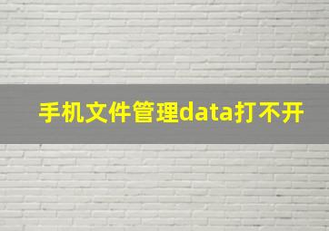 手机文件管理data打不开