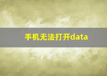 手机无法打开data