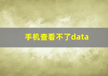 手机查看不了data