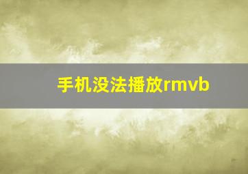 手机没法播放rmvb