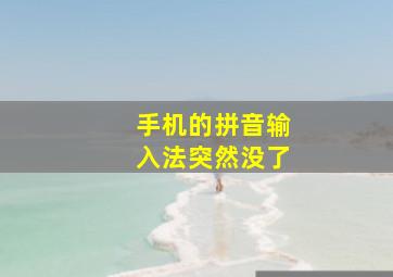 手机的拼音输入法突然没了