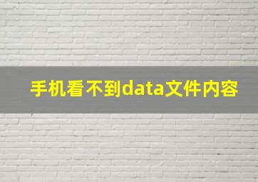 手机看不到data文件内容