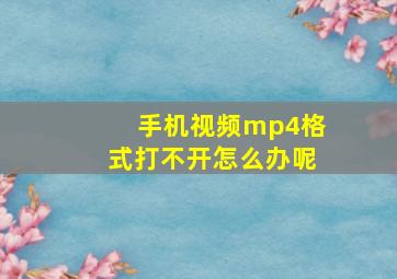 手机视频mp4格式打不开怎么办呢