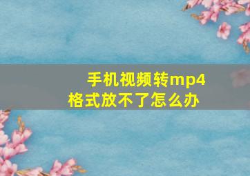 手机视频转mp4格式放不了怎么办