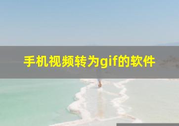 手机视频转为gif的软件