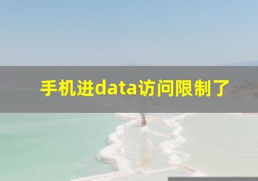 手机进data访问限制了