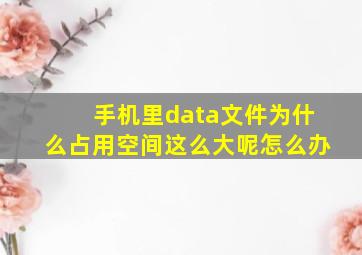 手机里data文件为什么占用空间这么大呢怎么办