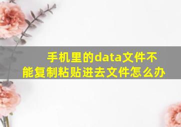 手机里的data文件不能复制粘贴进去文件怎么办