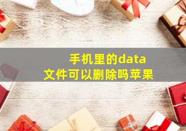 手机里的data文件可以删除吗苹果