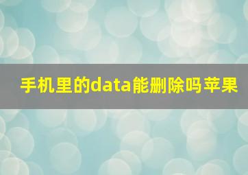 手机里的data能删除吗苹果