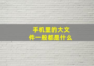 手机里的大文件一般都是什么