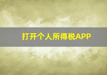 打开个人所得税APP