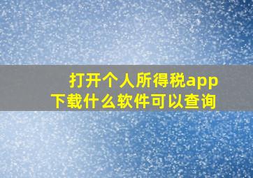 打开个人所得税app下载什么软件可以查询