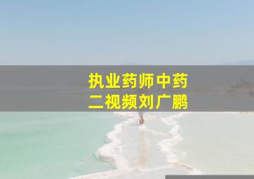 执业药师中药二视频刘广鹏