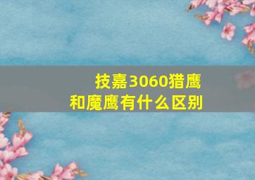 技嘉3060猎鹰和魔鹰有什么区别