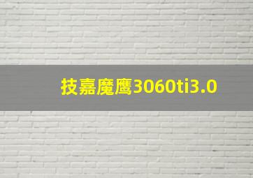 技嘉魔鹰3060ti3.0