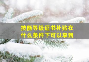 技能等级证书补贴在什么条件下可以拿到