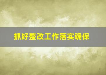 抓好整改工作落实确保