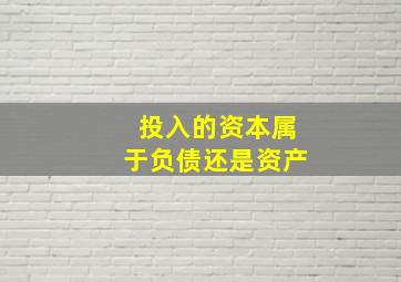 投入的资本属于负债还是资产