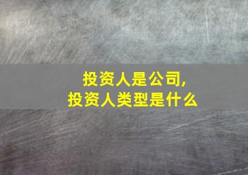 投资人是公司,投资人类型是什么