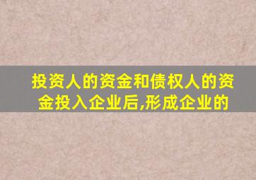 投资人的资金和债权人的资金投入企业后,形成企业的