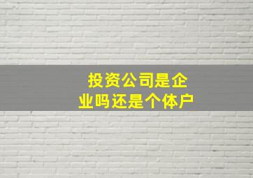 投资公司是企业吗还是个体户